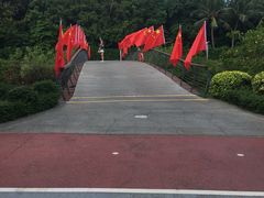 -万绿园