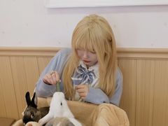 -猫猫幼稚园·撸猫·桌游·电玩
