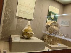 -南越王博物院(王宫展区)
