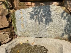 -南海湾森林生态园