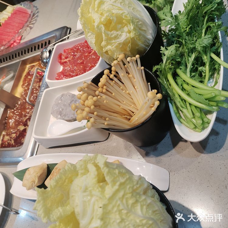 别捞了，直接住海底吧❗️