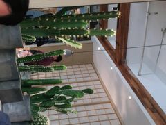 -蜜桃餐厅·伴山(湖滨商业街店)