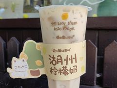 -猫的魔法密林(衣裳街店)