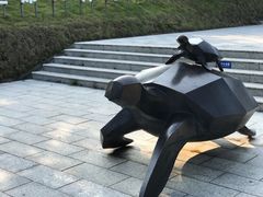 -广东惠东海龟国家级自然保护区