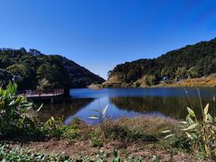 -广州市石门国家森林公园