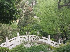 -武汉动物园