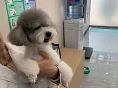 -安安宠医·臻爱宠物医院·宠保定点(营门口路分院)