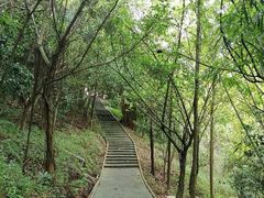 -李宁体育园