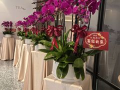 -江南厨子(万象天地店)