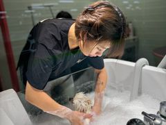 -FAELING PETS美天灵宠物(合生汇店)