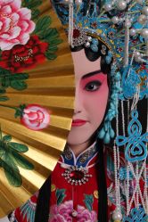 -胭脂猫京剧摄影