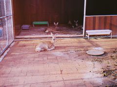 -长白山万达喜来登度假酒店