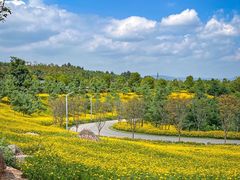 -孔雀湖生态旅游区