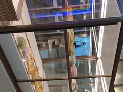 -奈雪的茶(skp店)