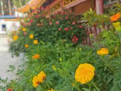 -硗碛藏寨·神木垒景区