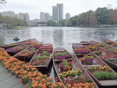-荔湾湖公园