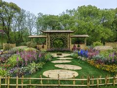 -上海共青森林公园