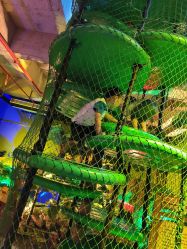 -恐龙探索乐园(磁器口店)