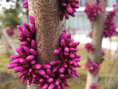 -白塘生态植物园