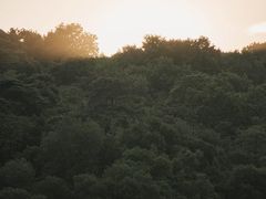 -维乐口腔医院(星海湾分院)