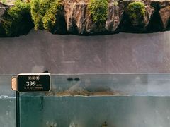 -外滩·云南人家(昆明旗舰店)