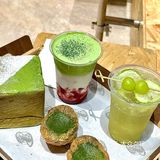东莞的抹茶脑袋快出来集合！！