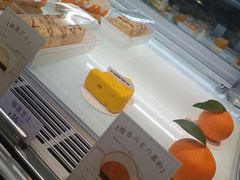 -TD66高山铁皮石斛养生茶饮