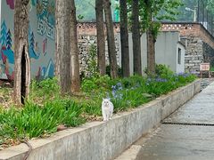 -小时光咖啡馆(开森度假森林店)