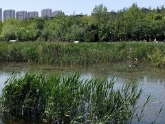 -前关湿地公园