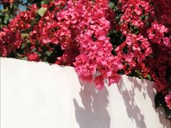 -华南国家植物园-售票处