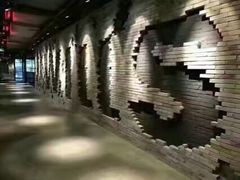 -威尔仕健身(丁香国际店)