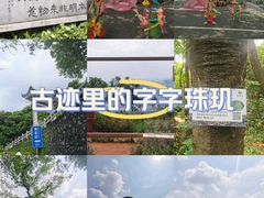 -广州市白云山风景名胜区