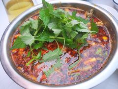 -彭大姐老店黄辣丁(新津店)