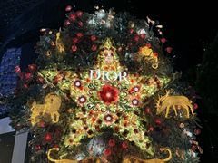 -爱雍·乌节