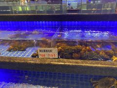 水产区-海虹舫海鲜大酒店(诸暨店)