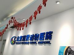 -北京观赏动物医院·24小时大型综合·猫专科·异宠专科