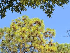 -艾溪湖湿地公园