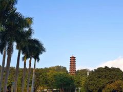 -红花山公园