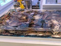 -集品鲜湾·蒸汽海鲜自助料理(青岛银座和谐广场店)
