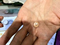 -北海金海湾红树林生态旅游区