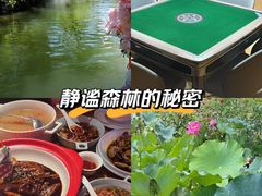 -东湖落雁景区