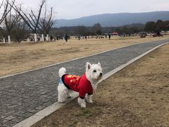 -钟山体育运动公园
