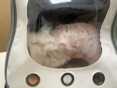 -瑞派康怡24h宠物医院·犬猫医疗中心·微创绝育(瑞景分院)