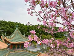 -宝墨园景区