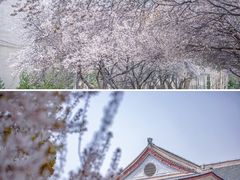 -山东师范大学(千佛山校区)