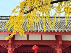 -房湖公园
