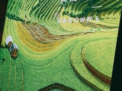 -湘邻呷铺·田园家宴(汉基广场店)