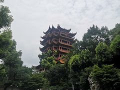 -黄鹤楼公园(黄鹤楼)