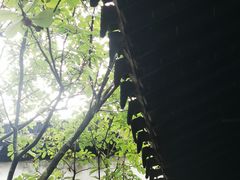 -拙政园