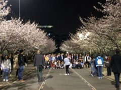 -三好坞景观餐厅